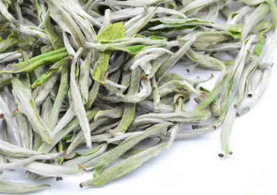 White Tip Silver Needle